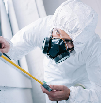 Strata Pest Control Service in Sydney Paramatta and Blacktown